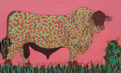 Bulls